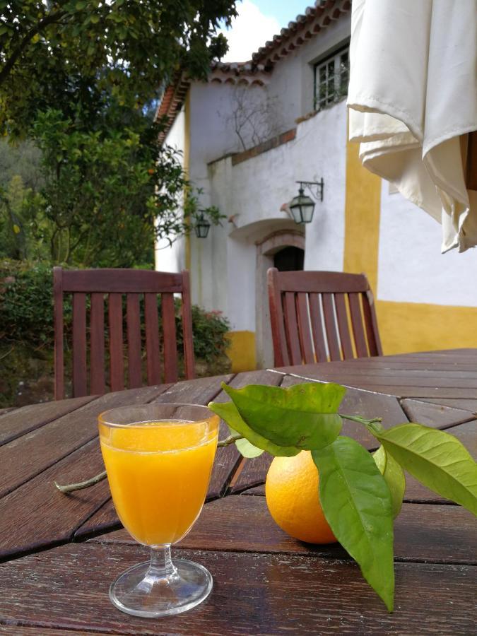 Quinta Do Rio Touro Acomodação com café da manhã Azoia  Exterior foto