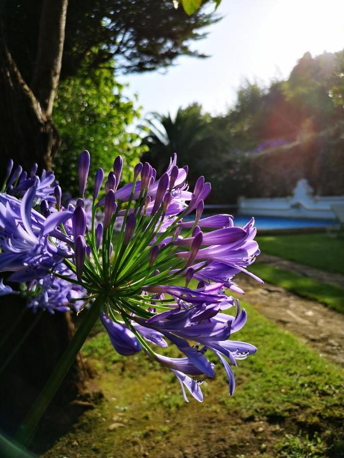 Quinta Do Rio Touro Acomodação com café da manhã Azoia  Exterior foto