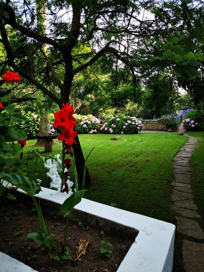 Quinta Do Rio Touro Acomodação com café da manhã Azoia  Exterior foto