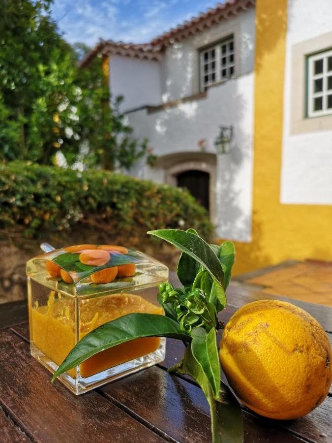 Quinta Do Rio Touro Acomodação com café da manhã Azoia  Exterior foto